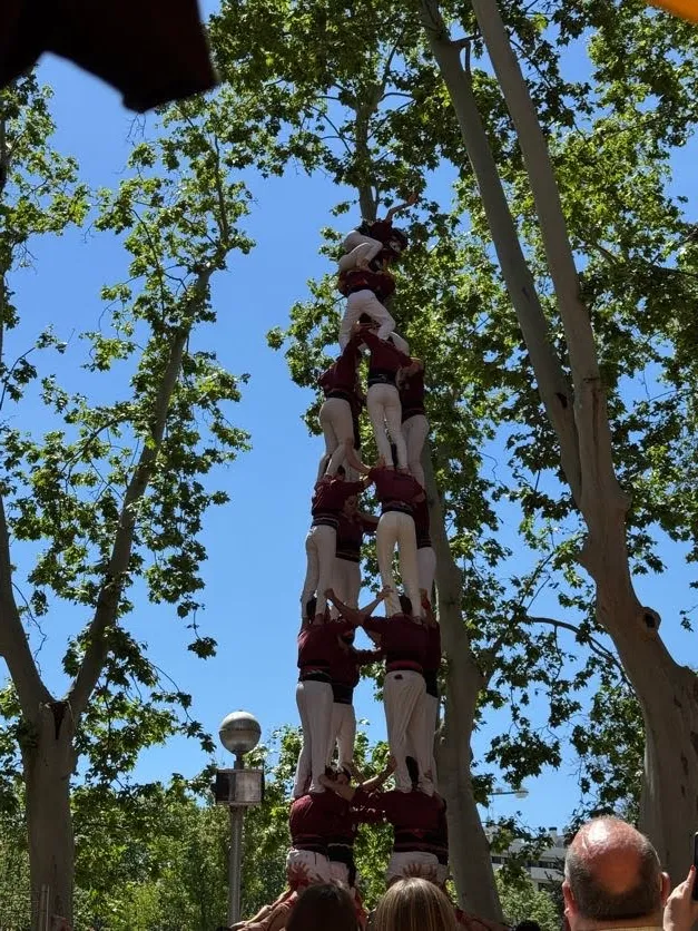 castell alt arbres exterior