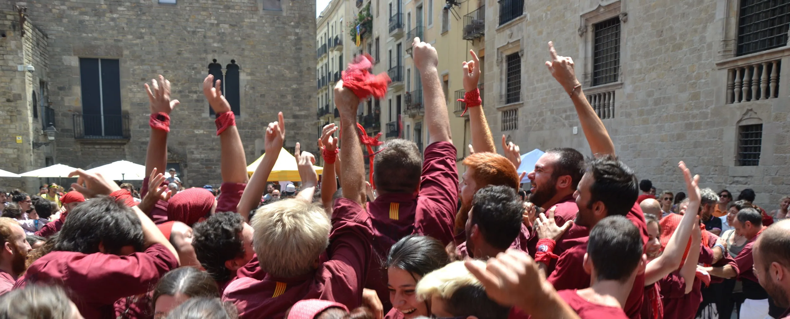 celebracio colla placa