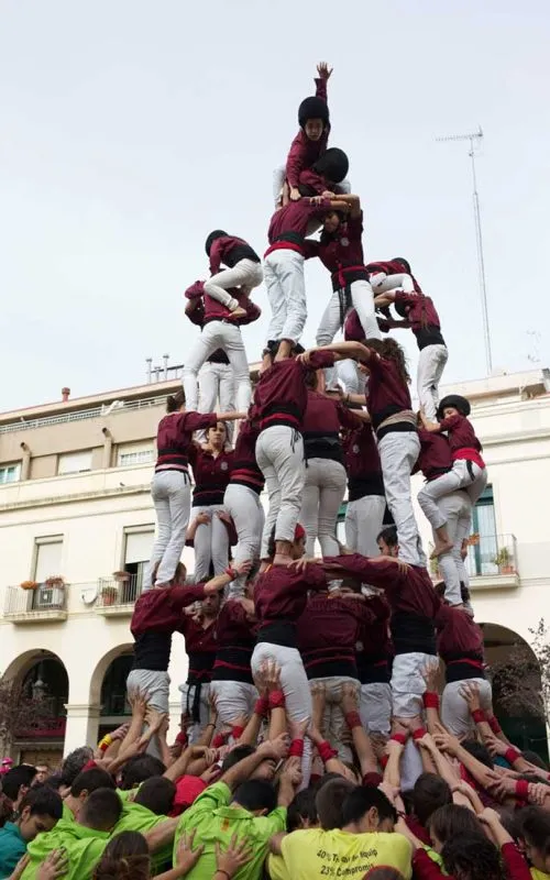 Fotografia del Primer 9d6